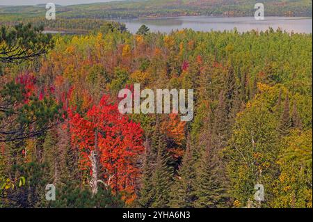 L'automne commence à se montrer dans les grands bois du Nord sur le lac Gunflint dans les eaux limitrophes du Minnesota Banque D'Images