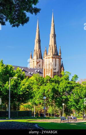 » Cathédrale Marys à Sydney, Australie. La cathédrale a été conçue par William Wardell et construite de 1866 à 1928. Banque D'Images