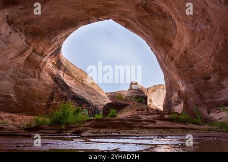 Un ruisseau traversant une grande alcôve érodée profonde dans Coyote Gulch. Glen Canyon National Recreation Area, Utah Banque D'Images