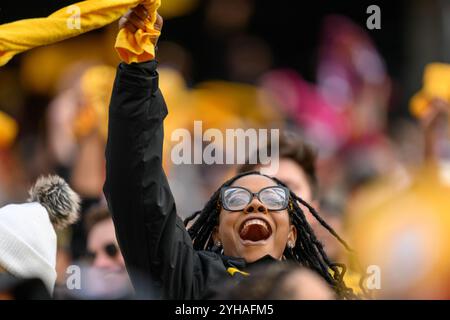 Landover, MD, États-Unis. 10 novembre 2024. Un fan des Pittsburgh Steelers acclame pendant le match de la NFL entre les Steelers de Pittsburgh et les Commanders de Washington à Landover, Maryland. Reggie Hildred/CSM/Alamy Live News Banque D'Images