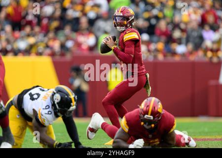 Landover, MD, États-Unis. 10 novembre 2024. Le quarterback des Washington Commanders Jayden Daniels (5) semble passer pendant le match de la NFL entre les Steelers de Pittsburgh et les Commanders de Washington à Landover, Maryland. Reggie Hildred/CSM/Alamy Live News Banque D'Images