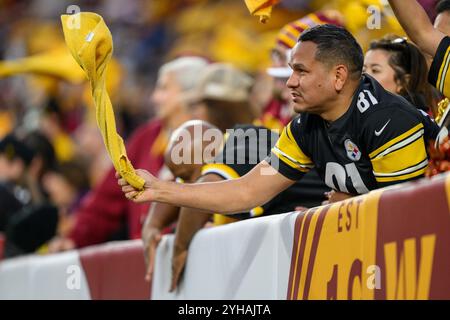 Landover, MD, États-Unis. 10 novembre 2024. Un fan des Pittsburgh Steelers acclame pendant le match de la NFL entre les Steelers de Pittsburgh et les Commanders de Washington à Landover, Maryland. Reggie Hildred/CSM/Alamy Live News Banque D'Images