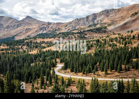 Cottonwood Pass, Colorado surplombe la vue à l'automne avec la forêt d'épicéa à feuilles persistantes par la route de comté 742 autoroute Banque D'Images