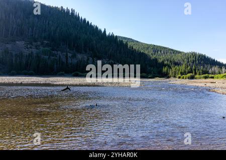 Frisco Colorado Dillon Reservoir Lake en saison d'automne pour la pêche avec une surface d'eau peu profonde Banque D'Images