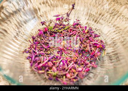 Herbe sèche Willowherb fleurs violettes fireweed pour l'usine de thé appelé Ivan Chai en Russie avec macro vue en gros plan dans le bol Banque D'Images