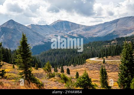 Cottonwood Pass, Colorado surplombe la vue en automne avec forêt de peupliers d'épinettes par la route de comté 742 Banque D'Images