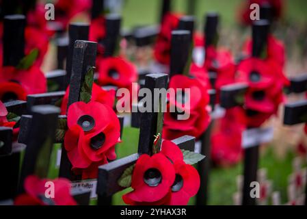 Londres, Royaume-Uni. 10 novembre 2024. Un mémorial avec des coquelicots et des croix est exposé à l'abbaye de Westminster lors de la Parade des cénotaphes du jour du souvenir 2024. Le dimanche 10 novembre, le Service national du souvenir a eu lieu au cénotaphe de Whitehall, à Londres. À partir de 11h, le service commémorait la contribution des militaires et civils britanniques et du Commonwealth, hommes et femmes impliqués dans les deux guerres mondiales et les conflits ultérieurs. (Photo de Loredana Sangiuliano/SOPA images/Sipa USA) crédit : Sipa USA/Alamy Live News Banque D'Images