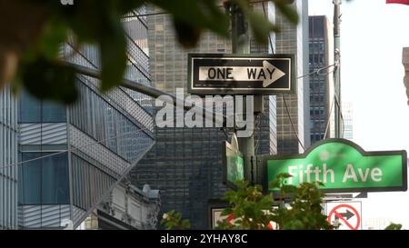 Fifth Avenue, 5 Ave Road sign, Manhattan Midtown Highrise gratte-ciel architecture, New York City 5th av, 42 Street corner près de Bryant Park et Library. Carrefour de signalisation de flèche à sens unique, États-Unis. Banque D'Images