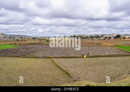 Vaste terrain agricole avec des parcelles de champs verts et bruns sous un ciel nuageux. Paysage rural, Parc National d'Isalo, Madagascar. Banque D'Images