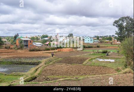 Vaste terrain agricole avec des parcelles de champs verts et bruns sous un ciel nuageux. Paysage rural, Parc National d'Isalo, Madagascar. Banque D'Images