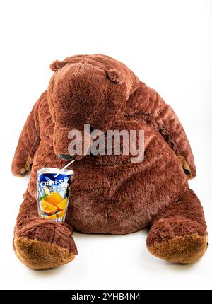 Nova Bana, Slovaquie - 8 novembre 2024 : Ikea DJUNGELSKOG gros ours brun jouet en peluche boire Capri Sun orange fruit drink . Banque D'Images