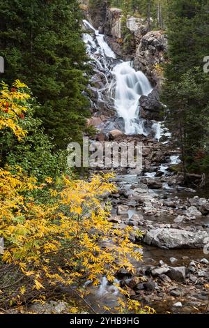 Mountain ash les feuilles jaunissent en automne comme Hidden Falls Parc National de Grand Teton, Wyoming s'écoule dans l'arrière-plan. Banque D'Images