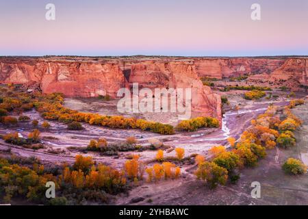 Les feuilles d'automne décorent les cotonniers et les sycomores du Canyon de Chelly National Monument en Arizona. Banque D'Images