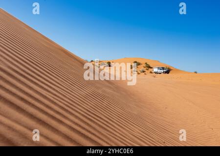 4x4 Toyota Hilux à propos au sommet de la Big Red Dune de sable, désert de Simpson, Queensland, Queensland, Queensland, Australie Banque D'Images