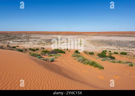Pistes de sable sur des dunes de sable pour la conduite en 4x4 dans le désert de Simpson, Queensland, Queensland, Queensland, Australie Banque D'Images