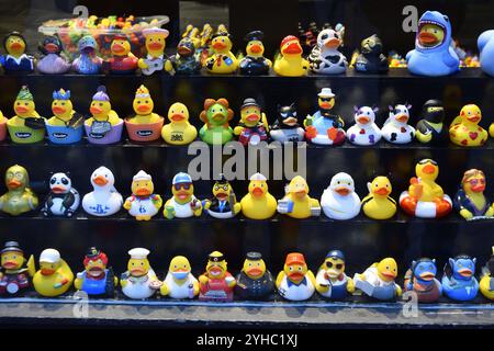 AMSTERDAM - Rubber Duck Store . ANP / Hollandse Hoogte / Erald van der AA pays-bas Out - belgique Out Banque D'Images