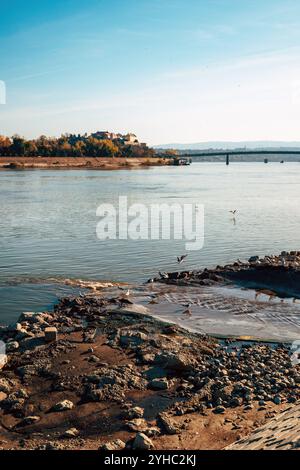 Forteresse Petrovaradin sur le Danube avec évacuation des eaux usées, focalisation sélective Banque D'Images