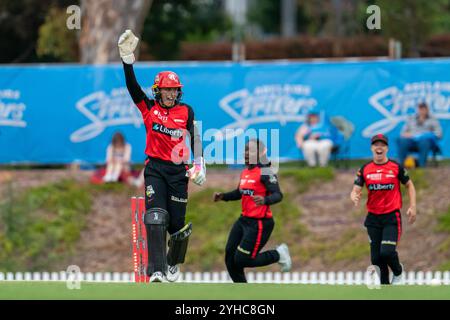 Adélaïde, Australie. 11 novembre 2024. Adélaïde, Australie, 11 novembre 2024 : Nicole Faltum (4 Melbourne Renegades) remporte un guichet lors du match de Weber Womens Big Bash League 10 entre les Adelaide Strikers et Melbourne Renegades au Karen Rolton Oval à Adélaïde, Australie (Noe Llamas/SPP) crédit : SPP Sport Press photo. /Alamy Live News Banque D'Images