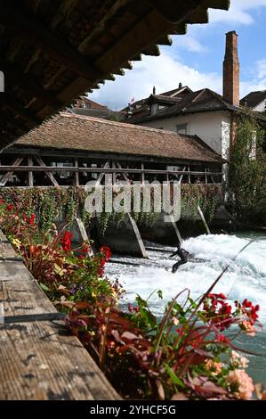 Surfer an der historischen Mühleschleuse, Thun, Schweiz *** surfer à l'écluse historique du moulin, Thun, Suisse Banque D'Images