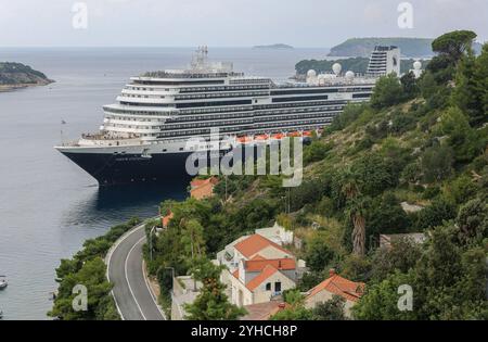 Dubrovnik, Croatie. 10 novembre 2024 : le navire de croisière NIEUW STATENDAM arrive dans le célèbre port méditerranéen de Dubrovnik. Exploité par Holland America Line (HAL), une division de Carnival Cruises Corporation, le navire de croisière de 300 mètres de long/100 000 GT est le plus grand navire à passagers à faire escale dans le port de Dalmatie cet automne. Historiquement connue sous le nom de Raguse, son architecture médiévale et sa vieille ville fortifiée font de la Perle de l'Adriatique une destination touristique populaire mais aussi la ville la plus surpeuplée d'Europe avec 27 touristes par habitant pendant la saison estivale. Crédit : Kevin Izorce/Alamy Live News Banque D'Images