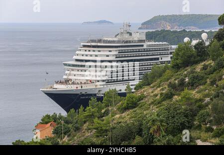 Dubrovnik, Croatie. 10 novembre 2024 : le navire de croisière NIEUW STATENDAM arrive dans le célèbre port méditerranéen de Dubrovnik. Exploité par Holland America Line (HAL), une division de Carnival Cruises Corporation, le navire de croisière de 300 mètres de long/100 000 GT est le plus grand navire à passagers à faire escale dans le port de Dalmatie cet automne. Historiquement connue sous le nom de Raguse, son architecture médiévale et sa vieille ville fortifiée font de la Perle de l'Adriatique une destination touristique populaire mais aussi la ville la plus surpeuplée d'Europe avec 27 touristes par habitant pendant la saison estivale. Crédit : Kevin Izorce/Alamy Live News Banque D'Images