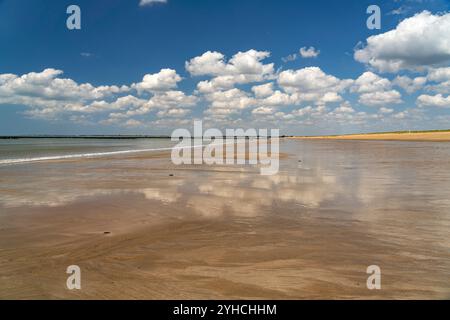 Der Strand plage des Chardons à L'Aiguillon-la-Presqu'ile, Frankreich | plage des Chardons à L'Aiguillon-la-Presqu'ile, France Banque D'Images