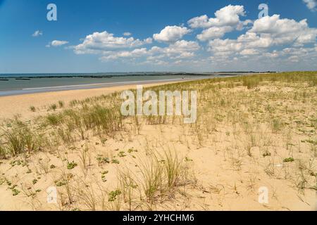 Der Strand plage des Chardons à L'Aiguillon-la-Presqu'ile, Frankreich | plage des Chardons à L'Aiguillon-la-Presqu'ile, France Banque D'Images