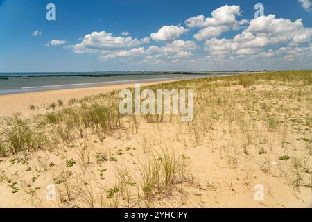 Plage des Chardons Der Strand plage des Chardons à l Aiguillon-la-Presqu ile, Frankreich plage des Chardons à l Aiguillon-la-Presqu ile, Franc Banque D'Images