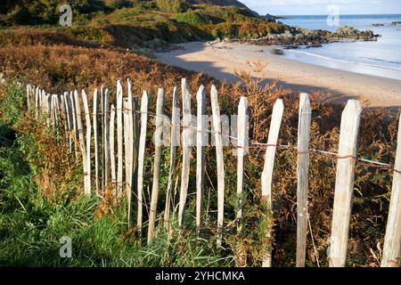 vieille clôture en bois protégeant les dunes de sable grande baie blanche stroove plage inishowen, comté de donegal, république d'irlande Banque D'Images