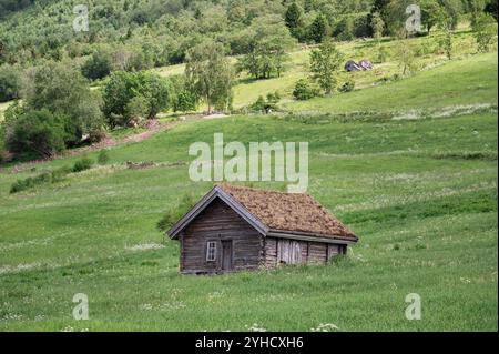 Une seule cabane en bois, nichée dans le flanc de montagne d'Olden, à l'extrémité du spectaculaire Nordfjord, Norvège Banque D'Images