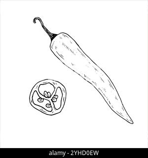 Illustrations botaniques vectorielles graphiques avec du piment. Croquis de ligne noire avec des herbes et des épices. Deux versions - avec et sans remplissage Illustration de Vecteur