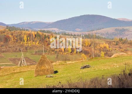 paysage rural montagneux en automne. transcarpathie authentique. après-midi ensoleillé. botte de foin sur la colline herbeuse. beau paysage de campagne d'ukrain Banque D'Images