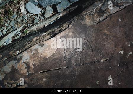 Anciens pétroglyphes sculptés dans les falaises rocheuses des montagnes de l'Altaï, mettant en valeur la riche histoire culturelle des premiers habitants. Banque D'Images