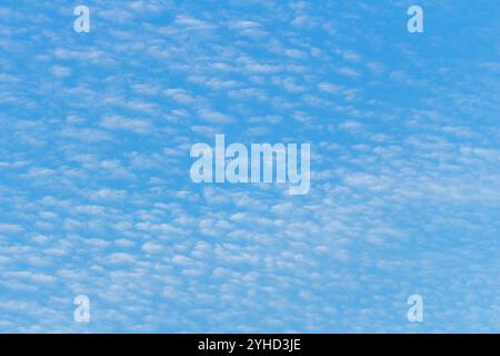 Ciel bleu vif avec des nuages d'altocumulus dispersés formant un motif texturé par une journée ensoleillée Banque D'Images