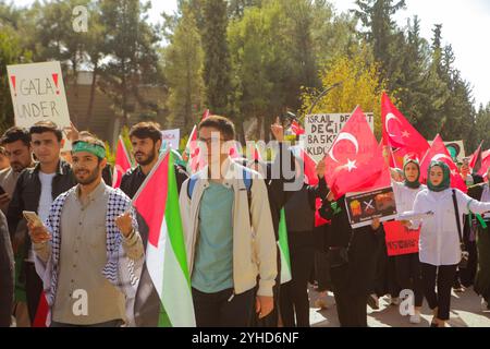 Gaziantep, Turkiye. 18 octobre 2023. Une manifestation pro-palestinienne est organisée sur le campus de l'Université Gaziantep, dans le sud de Turkiye. Les étudiants tenaient le drapeau palestinien avec le drapeau turc, tout en appelant au boycott de Coca-Cola, McDonald’s et Starbucks en raison de leur soutien à Israël. La manifestation a été organisée par des étudiants de la Faculté de théologie, d’histoire islamique et des Arts de l’université, avec le professeur Mehmet Akbas, prononçant un discours de soutien aux Palestiniens lors de l’événement Banque D'Images