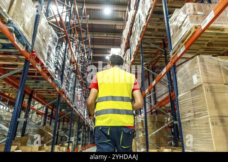 Vue arrière d'un ouvrier masculin marchant le long de boîtes dans l'entrepôt de stockage Banque D'Images