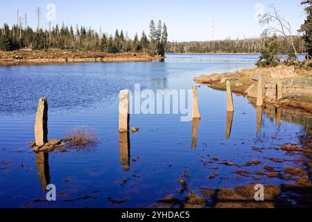 Lac dans la forêt des montagnes du Harz en Basse-Saxe, Allemagne. Réservoir d'eau historique d'Oderteich près de Sankt Andreasberg. Banque D'Images