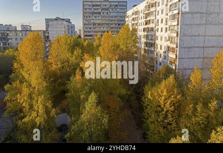 Arbres jaunis ensoleillés dans la zone de couchage. Moscou, Teply Stan, vue de la fenêtre de la maison dans la cour. Journée ensoleillée en octobre Banque D'Images