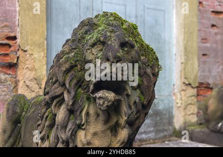 Tête de lion en pierre recouverte de mousse. Fragment d'une statue de pierre dans le vieux parc. Italie Banque D'Images