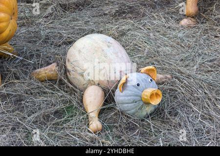 MOSCOU, RUSSIE, 22 SEPTEMBRE 2017 : porcelet fabriqué à partir de grandes citrouilles mûres. Festival Banque D'Images