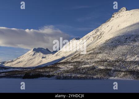 Route de Sjusnes à Ramfjordbotn, Troms, Norvège, Europe Banque D'Images