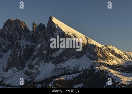 Après-midi sur l'Alpe di Siusi, Tyrol du Sud, Italie, Europe Banque D'Images