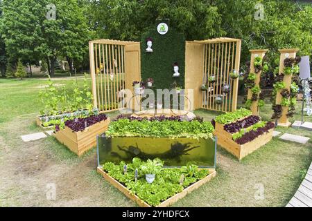 Moscou, Russie, 6 juillet 2018 : un exemple d'un bel arrangement de lits avec de la salade colorée. Salon des fleurs de Moscou, Europe Banque D'Images