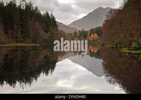 Lochaber, Écosse, Royaume-Uni. 11 novembre 2024. Temps nuageux dans les Highlands écossais avec une température autour de 11 degrés centigrades. Photo : Perfrct reflet des arbres environnants et Pap de Glncoe dans le Glencoe Lochan, près de Ballachulish, Lochaber. Credit : Archwhite/Alamy Live news. Banque D'Images