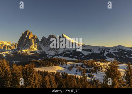 Après-midi sur l'Alpe di Siusi, Tyrol du Sud, Italie, Europe Banque D'Images