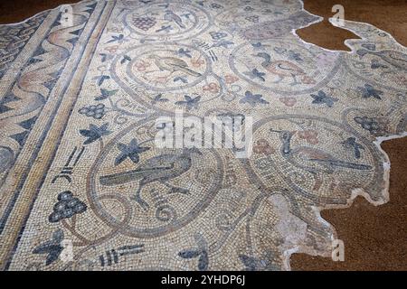 Mosaïques de la porte Harran, 5ème siècle après J.-C. période romaine, musée de la mosaïque Haleplibahçe, Şanlıurfa Turkiye Banque D'Images