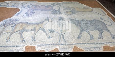 Mosaïques de la porte Harran, 5ème siècle après J.-C. période romaine, musée de la mosaïque Haleplibahçe, Şanlıurfa Turkiye Banque D'Images