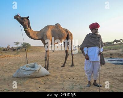 Pushkar, Rajasthan, Inde. 11 novembre 2024. La plus grande foire aux chameaux du monde à Pushkar. La Foire de Pushkar, également connue comme une foire annuelle de chameau et de bétail de cinq jours, a lieu dans la ville de Pushkar, Ajmer. Il est exécuté entre les mois d'octobre et novembre et est l'une des plus grandes foires de bétail au monde. (Crédit image : © Shaukat Ahmed/Pacific Press via ZUMA Press Wire) USAGE ÉDITORIAL SEULEMENT! Non destiné à UN USAGE commercial ! Banque D'Images