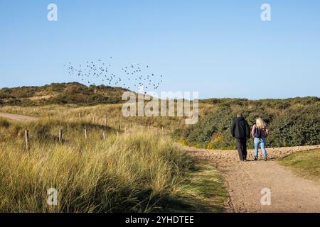 Promeneurs dans les dunes près de Domburg sur la péninsule Walcheren, Zélande, pays-Bas. Spaziergaenger in den Duenen BEI Domburg auf Walcheren, Zeeland, N. Banque D'Images