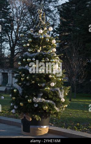 Bonne année 2025 et Noël, avec une vue sur un bel arbre de Noël sur le trottoir d'une rue de la ville à Sofia, Bulgarie Banque D'Images